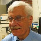 Photo of Maia Chankseliani, PhD